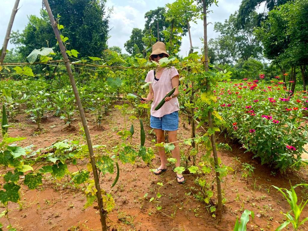 Moni Farm House Wilpattu Nochchiyagama Экстерьер фото