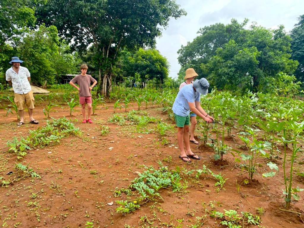 Moni Farm House Wilpattu Nochchiyagama Экстерьер фото