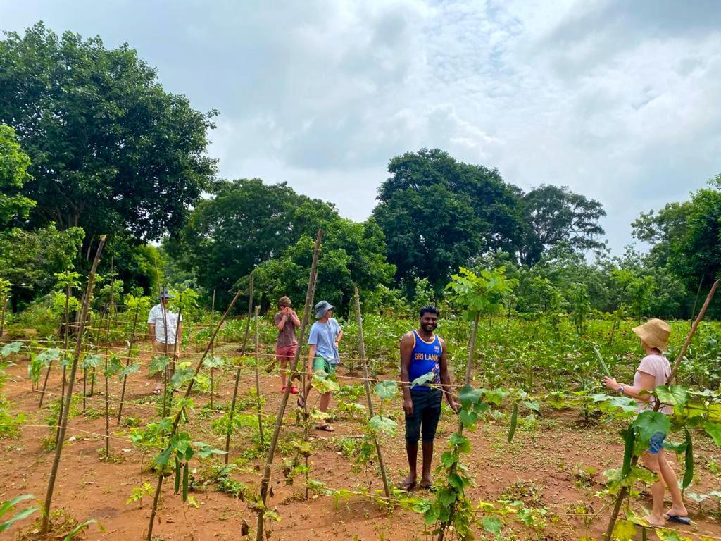 Moni Farm House Wilpattu Nochchiyagama Экстерьер фото