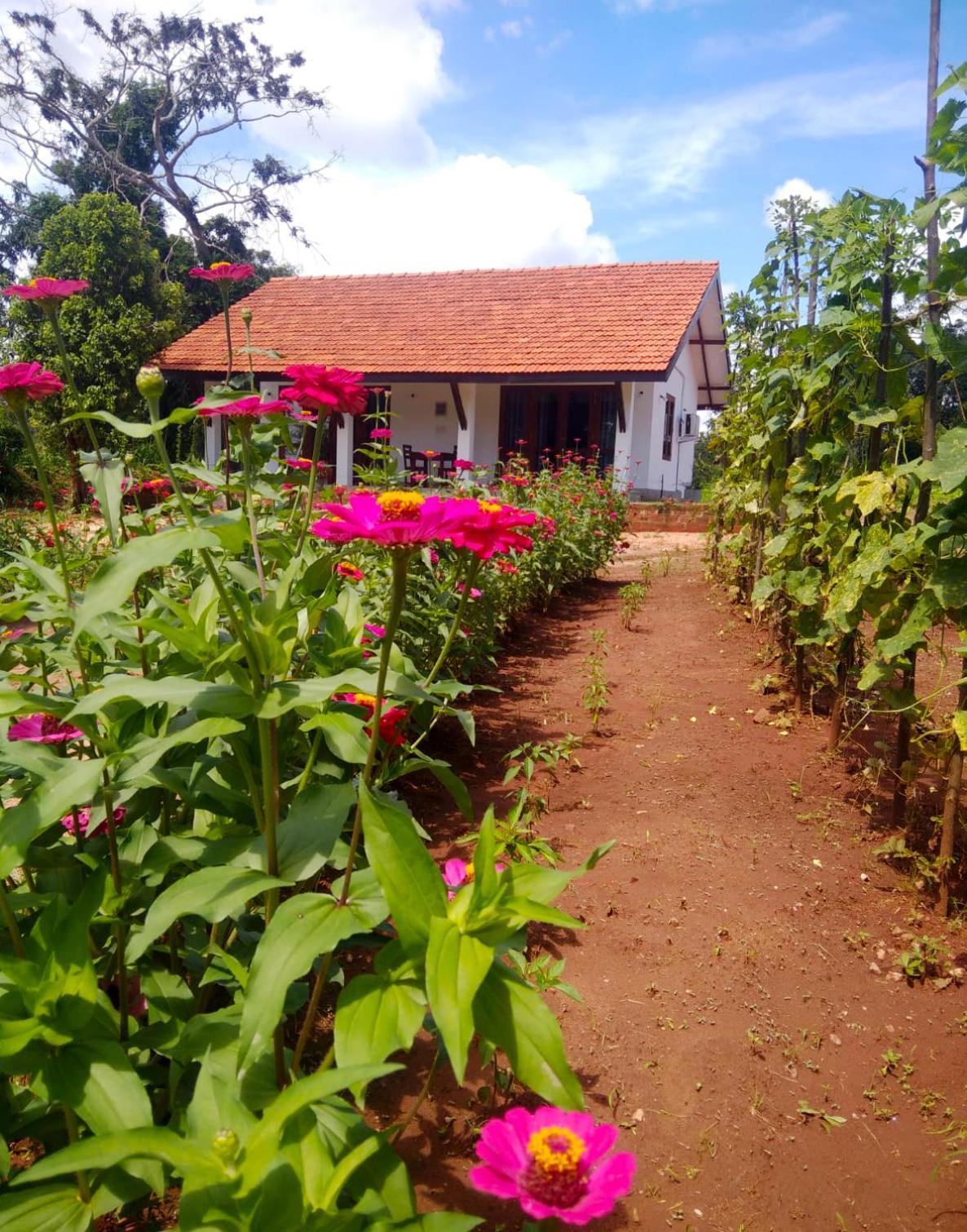 Moni Farm House Wilpattu Nochchiyagama Экстерьер фото