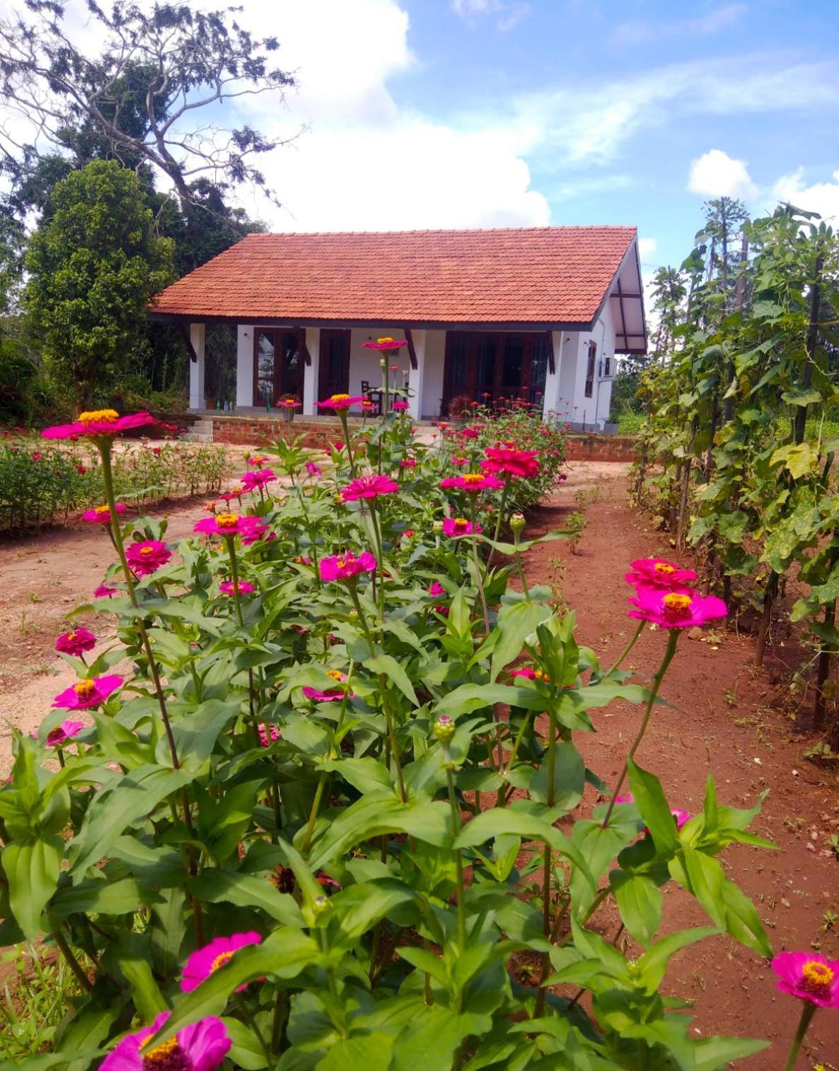 Moni Farm House Wilpattu Nochchiyagama Экстерьер фото