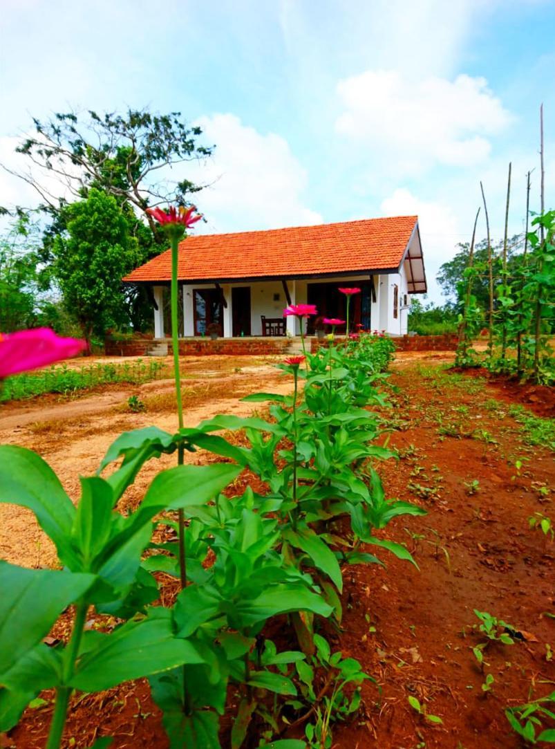 Moni Farm House Wilpattu Nochchiyagama Экстерьер фото