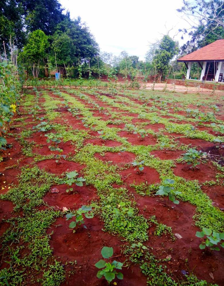 Moni Farm House Wilpattu Nochchiyagama Экстерьер фото