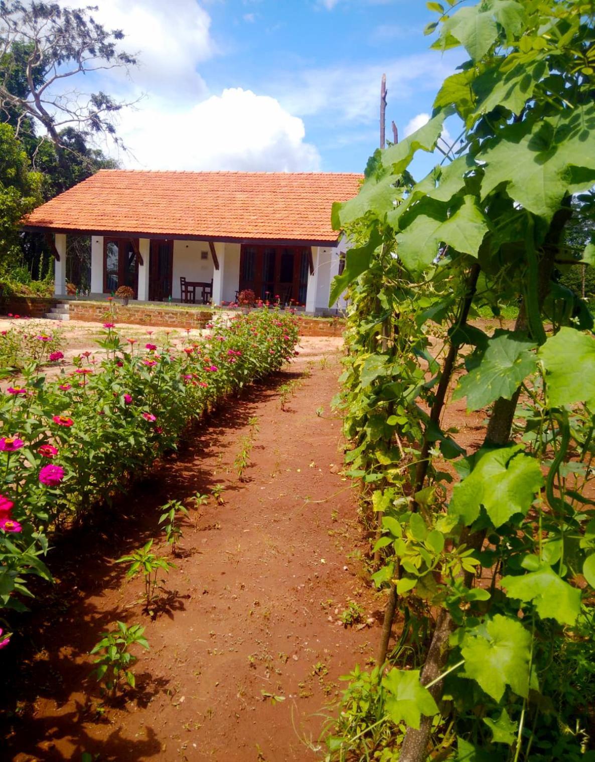 Moni Farm House Wilpattu Nochchiyagama Экстерьер фото
