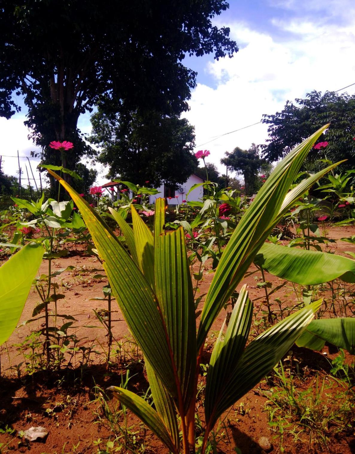 Moni Farm House Wilpattu Nochchiyagama Экстерьер фото